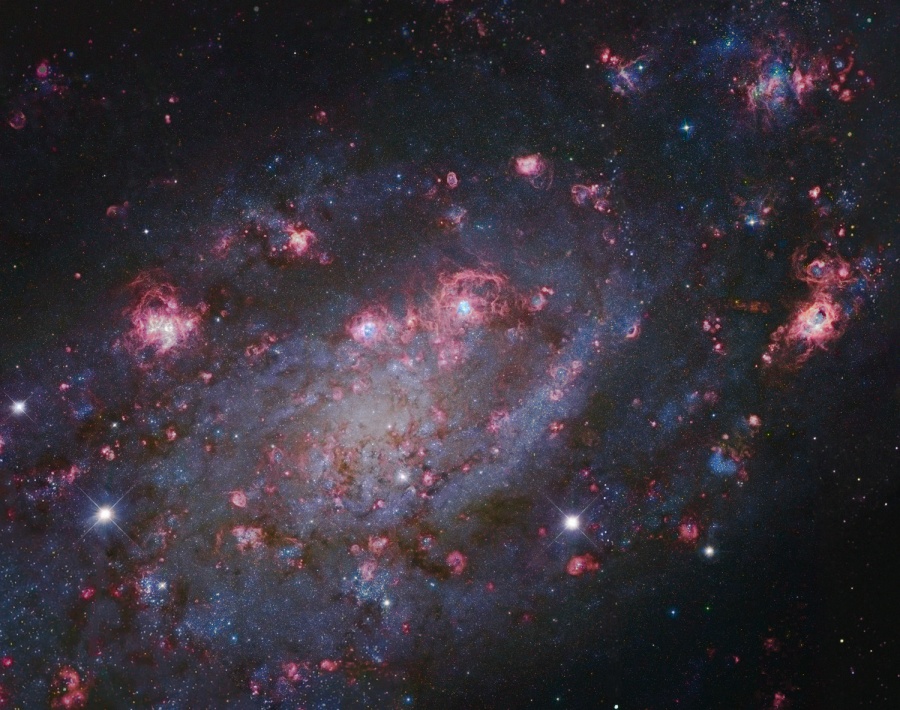 NGC 2403 APOD by Rob Gendler